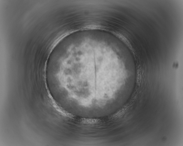 X0000114681039200911181226