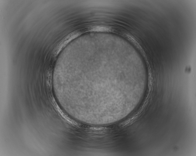 X0000114681041200911181226