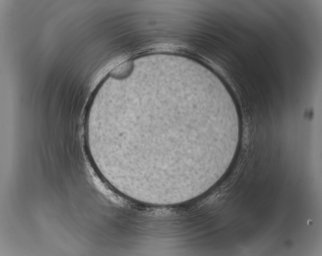 X0000114681042200911181226