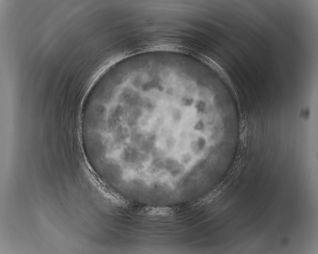 X0000114681043200911181226