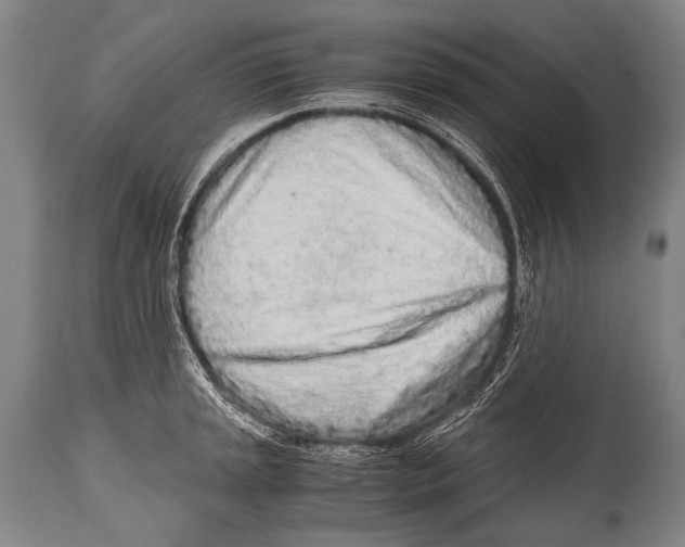 X0000114681045200911181226