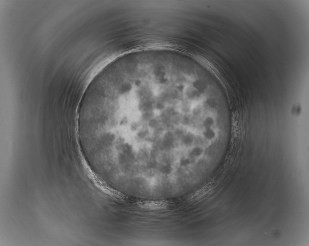 X0000114681047200911181226
