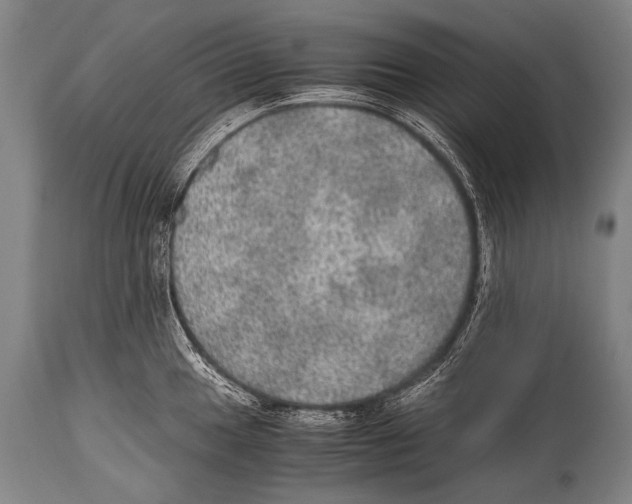 X0000114681049200911181226