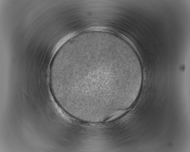 X0000114681050200911181226