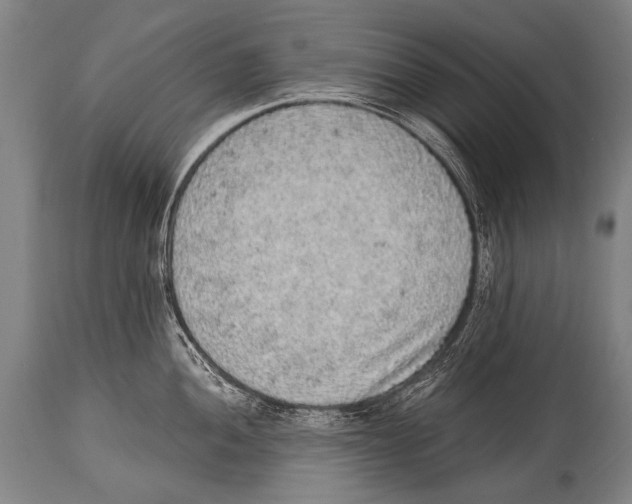 X0000114681052200911181226