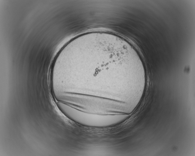 X0000114681054200911181226