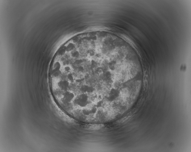 X0000114681055200911181226