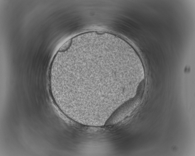 X0000114681056200911181226