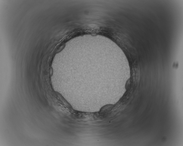 X0000114681057200911181225