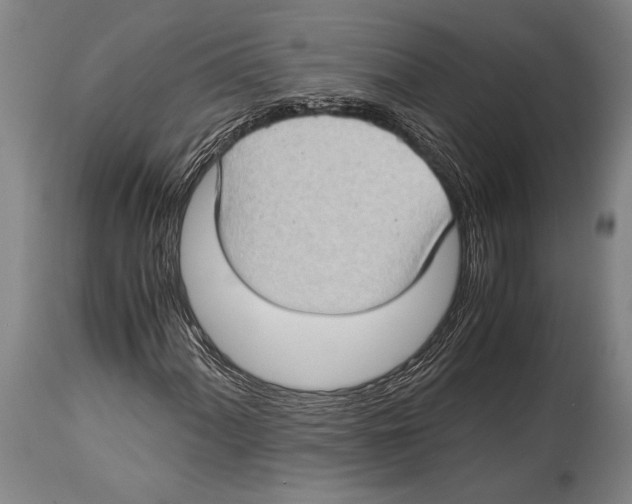 X0000114681060200911181225