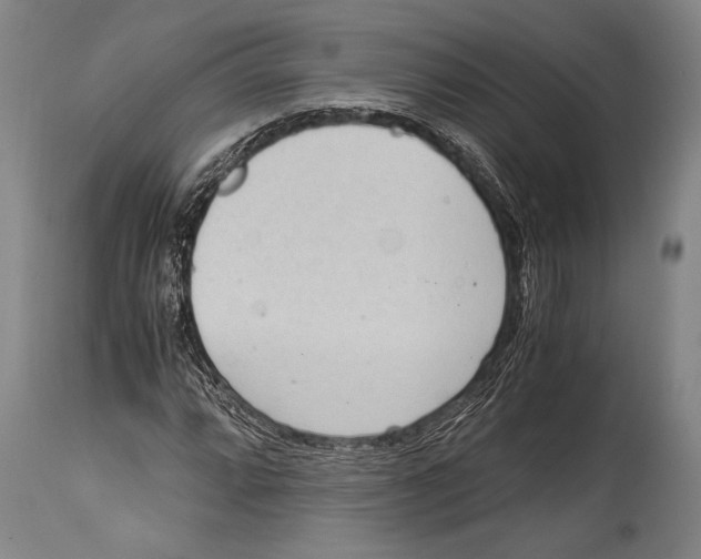X0000114681064200911181225