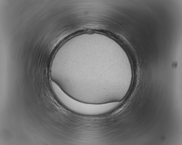 X0000114681065200911181225