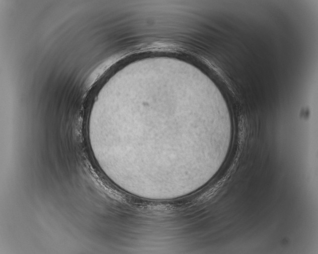 X0000114681066200911181225