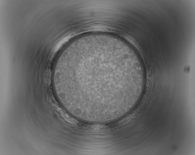 X0000114681067200911181225