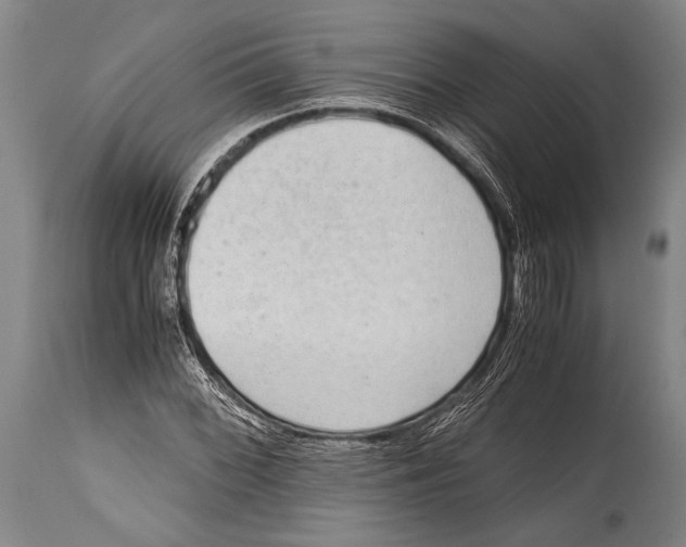 X0000114681068200911181225