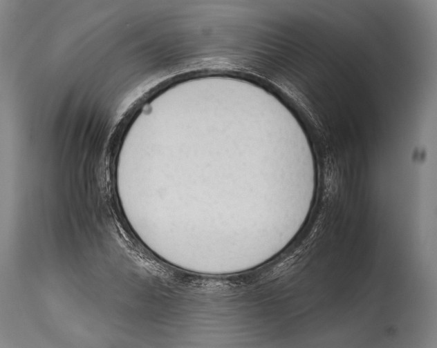 X0000114681070200911181225
