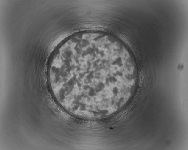 X0000114681071200911181225