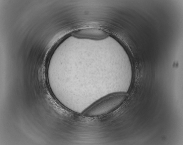 X0000114681072200911181225