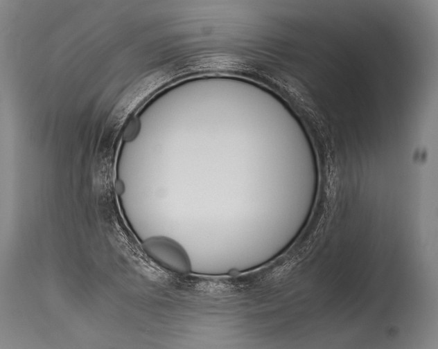 X0000114681073200911181225