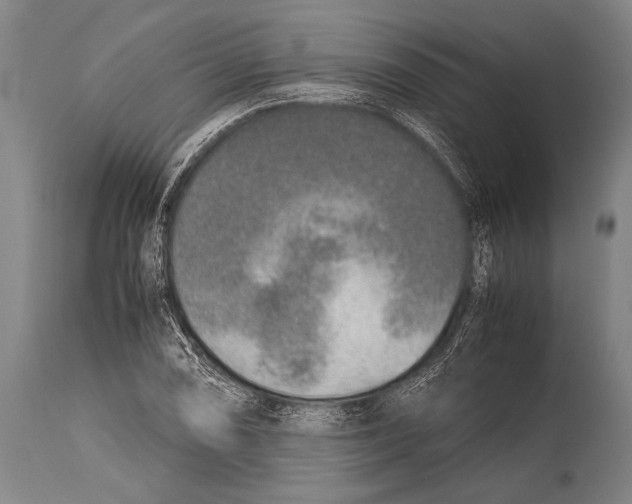 X0000114681074200911181225