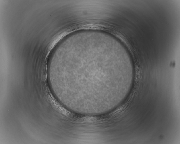 X0000114681075200911181225