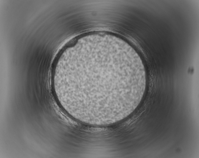 X0000114681076200911181225