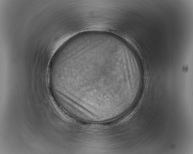 X0000114681077200911181225