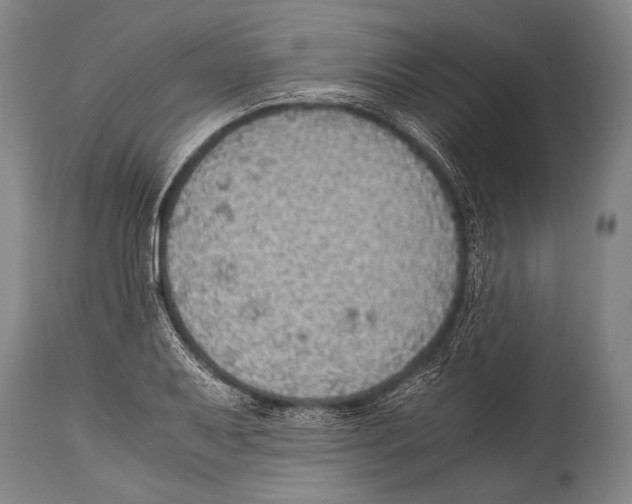 X0000114681079200911181225