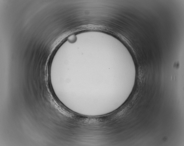 X0000114681082200911181225
