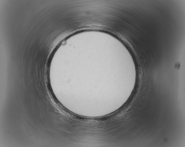 X0000114681085200911181225