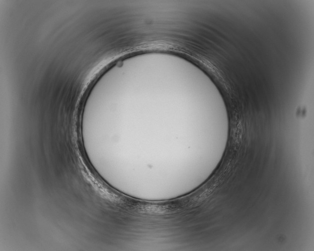 X0000114681086200911181225