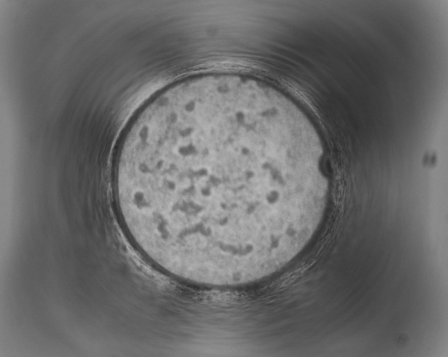 X0000114681087200911181225