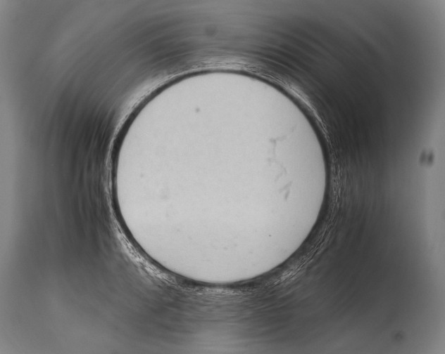 X0000114681088200911181225
