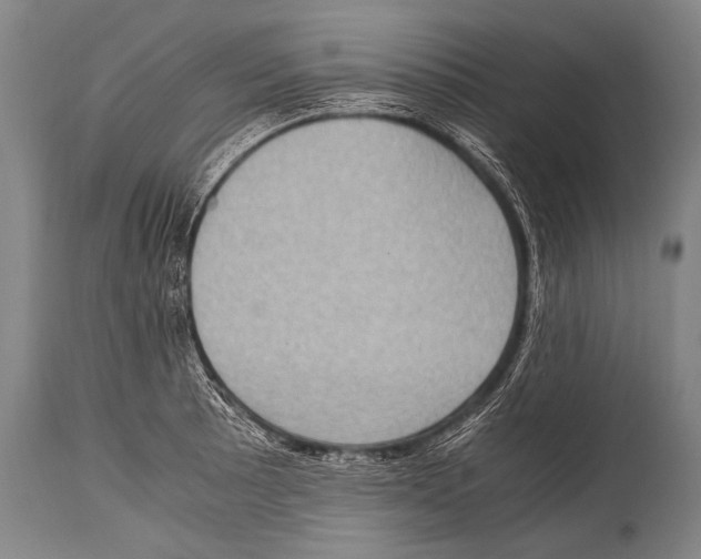 X0000114681089200911181225