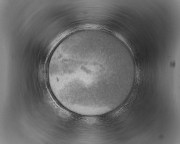 X0000114681090200911181225