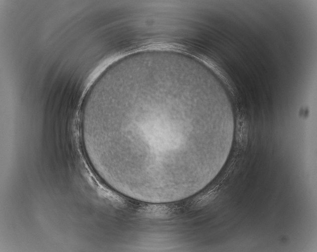 X0000114681094200911181225