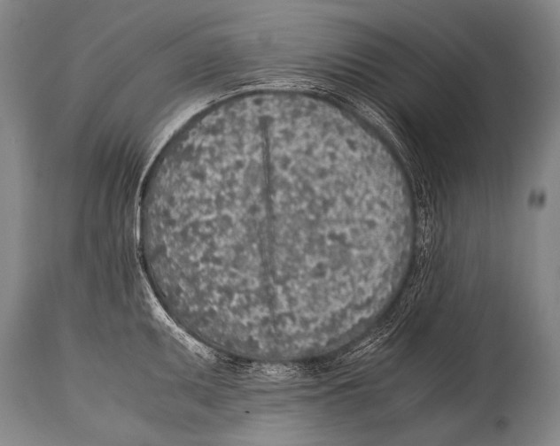 X0000114681095200911181225
