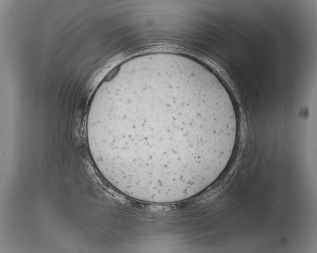 X0000114681097200911181225