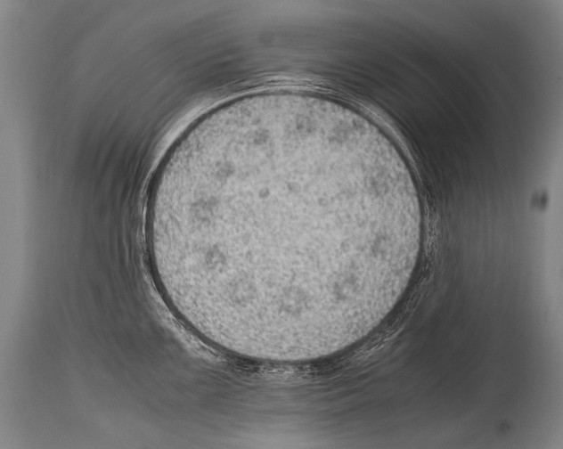X0000114681099200911181225