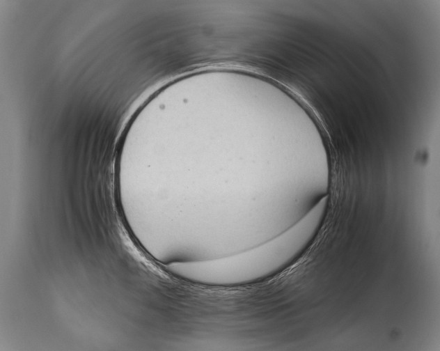X0000114681100200911181225