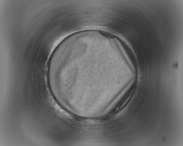 X0000114681102200911181225