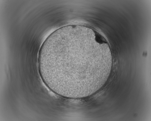 X0000114681103200911181225