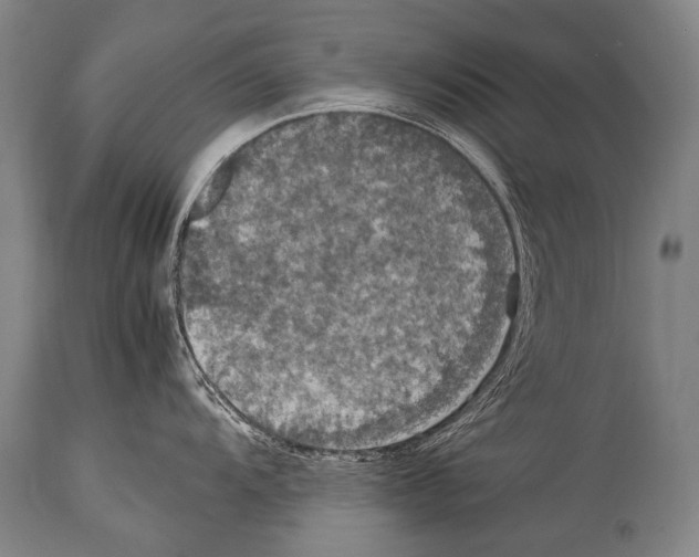 X0000114681104200911181224