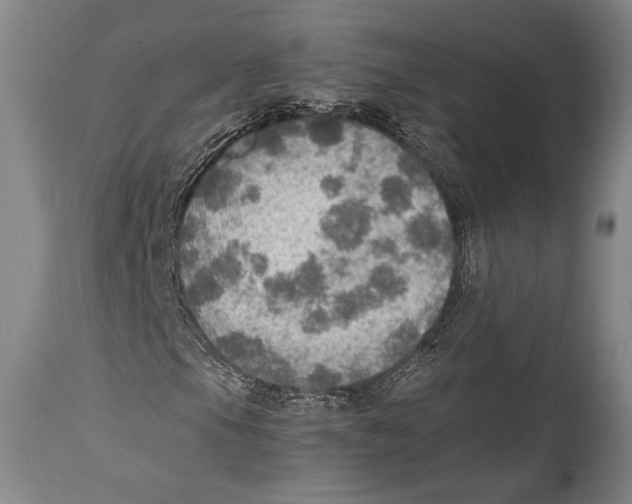 X0000114681105200911181224