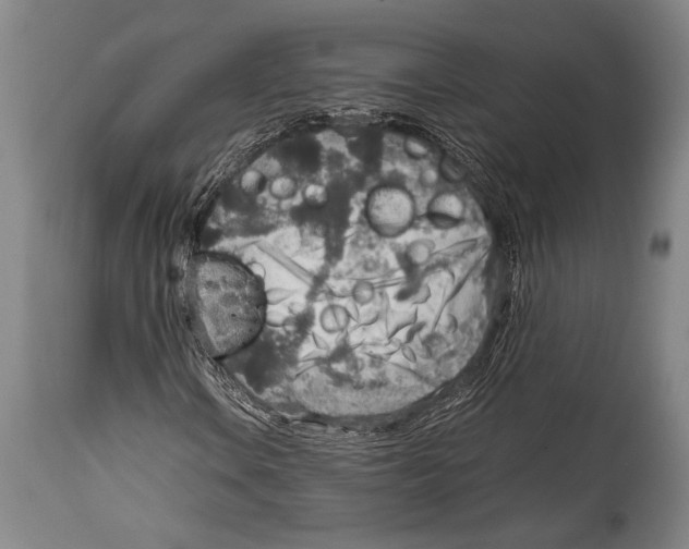 X0000114681106200911181224