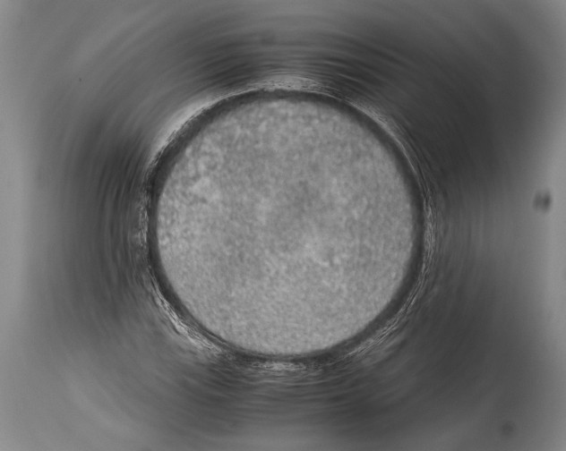 X0000114681115200911181224