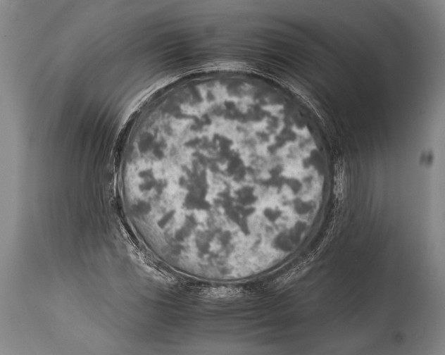 X0000114681117200911181224