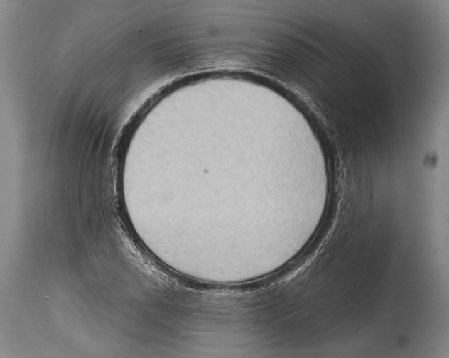 X0000114681118200911181224