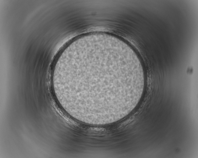 X0000114681119200911181224