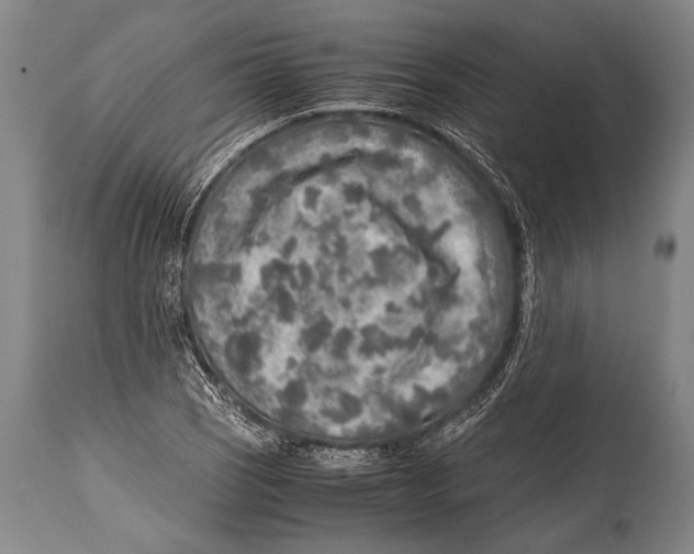 X0000114681121200911181224